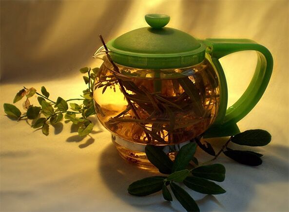 bylinný čaj pre parazity