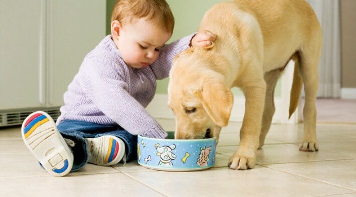 chlapec zje z misky pre psa a nakazí sa červami