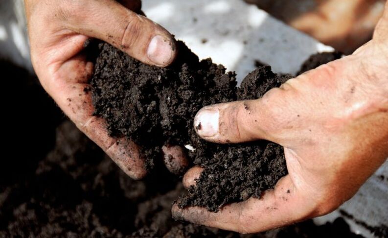 práca s pôdou ako cestou infekcie červami